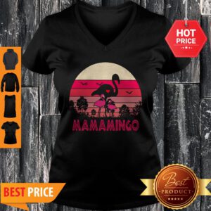 Good Flamingos Mamamingo Sunset V-Neck