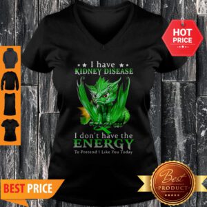 Nice Dragon I Have Kidney Disease I Don’t Have The Energy To Pretend V-Neck