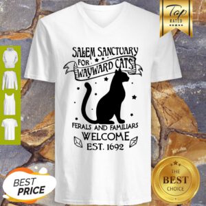 Pretty Salem Sanctuary For Wayward Cats Ferals And Familiars Welcome V-neck - Design By Refinetee.com
