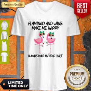 Funny Flamingo And Wine Make Me Happy V-Neck