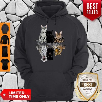 Good Cats Reflection Water Mirror Tigers Hoodie