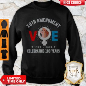 Nice 19th Amendment VOE Women Right To Vote Sweatshirt
