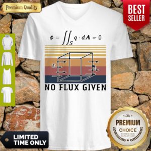 Nice No Flux Given Vintage V-Neck