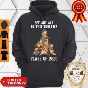 Pro We Are All In This Together Class Of 2020 Hoodie - Design By Refinetee.com