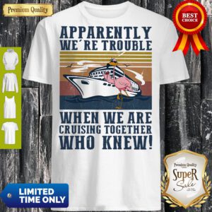 Funny Flamingo Apparently Were Trouble When We Are Cruising Together Who Knew Vintage Hoodie