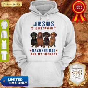 Nice Jesus Is My Savior Dachshunds Are My Therapy Hoodie