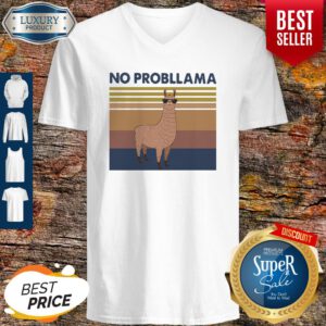 Nice Llama No Probllama Vintage V-Neck