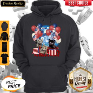 Pretty Cats Balloons Fireworks Independence Day 4th Of July Hoodie