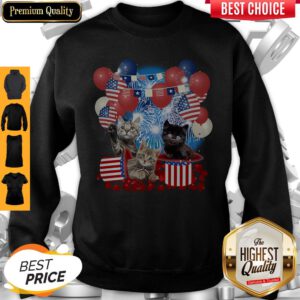 Pretty Cats Balloons Fireworks Independence Day 4th Of July Sweatshirt