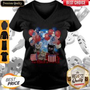 Pretty Cats Balloons Fireworks Independence Day 4th Of July V-Neck