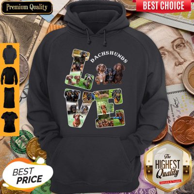 Beautiful Love Dachshunds Dog Hoodie