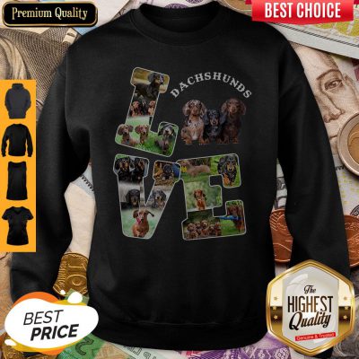 Beautiful Love Dachshunds Dog Sweatshirt