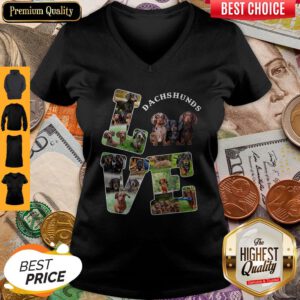 Beautiful Love Dachshunds Dog V-neck