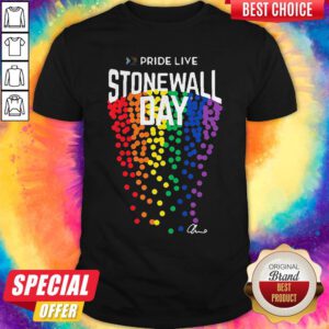 Beautiful Pre Order Stonewall Day Pride Shirt