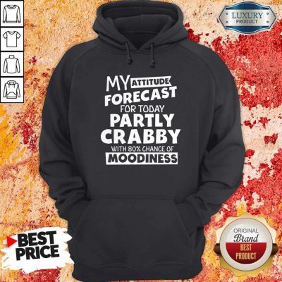 Funny Attitude For Today Hoodie