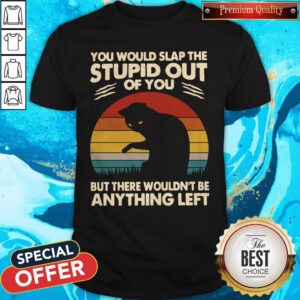 Hot Cat You Would Slap The Stupid Out Of You But There Wouldn't Be Anything Left Vintage Shirt