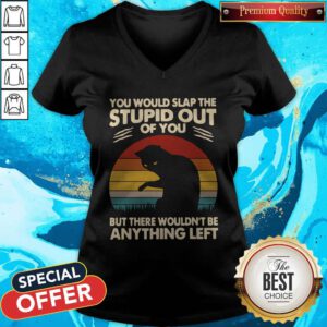 Hot Cat You Would Slap The Stupid Out Of You But There Wouldn't Be Anything Left Vintage V-neck