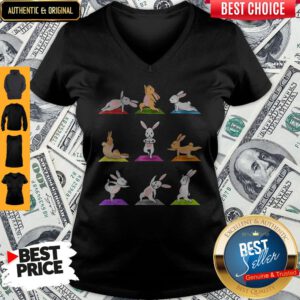 Premium Yoga Bunnies V-neck