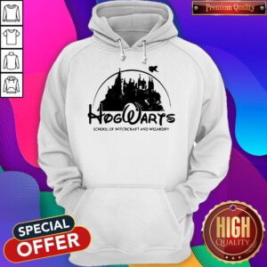 Pro Disney Land Hogwarts School Of Witchcraft And Wizardry Hoodie