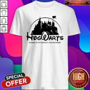 Pro Disney Land Hogwarts School Of Witchcraft And Wizardry Shirt