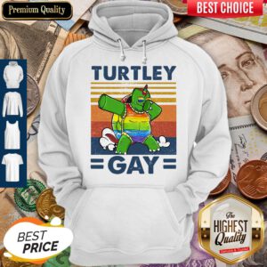 Pro Turtley Gay Turtle Dabbing LGBT Vintage Hoodie