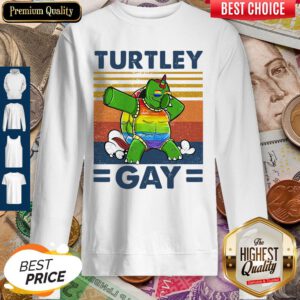Pro Turtley Gay Turtle Dabbing LGBT Vintage Sweatshirt