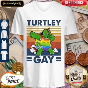 Pro Turtley Gay Turtle Dabbing LGBT Vintage V-neck