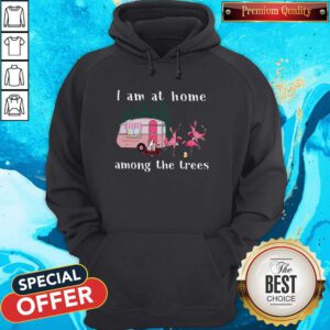 Top Camping Flamingos I Am At Home Among The Trees Hoodie