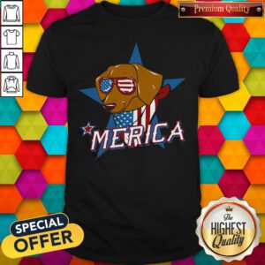 Funny Dachshund Merica American Flag Shirt