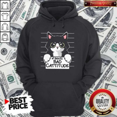 Funny I Want No 86452 Bad Cattitude Hoodie