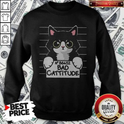 Funny I Want No 86452 Bad Cattitude Sweatshirt