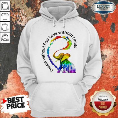 Nice Elephant Price Dream Without Fear Love Without Limits Hoodie