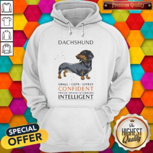 Top Funny Dachshund Small Cute Lively Confident Intelligent Hoodie