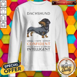 Top Funny Dachshund Small Cute Lively Confident Intelligent Sweatshirt