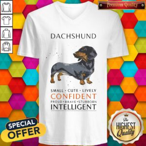 Top Funny Dachshund Small Cute Lively Confident Intelligent V-neck