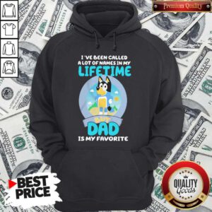 Bluey Bandit I’ve Been Called A Lot Of Names In My Lifetime But Dad Is My Favorite Hoodie