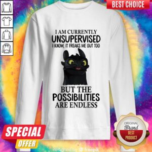 Hot I Am Currently Unsupervised I Know It Freaks Me Out Too But The Possibilities Are Endless Toothless Dragon Sweatshirt
