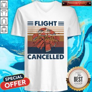 Hot Skeet Shooting Shattered Clay Flight Cancelled Vintage Retro V-neck