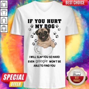Nice If You Hurt My Dog I Will Slap You So Hard Even Google Wont Be Able To Find You Dog V-neck