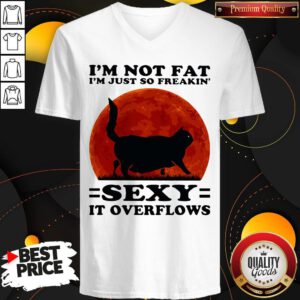 Pro Black Cat I'm Not Fat I'm Just So Freakin' Sexy It Overflows Sunset V-neck