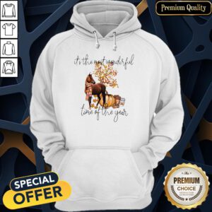 Autumn Horse It’s The Most Wonderful Time Of The Year Hoodie