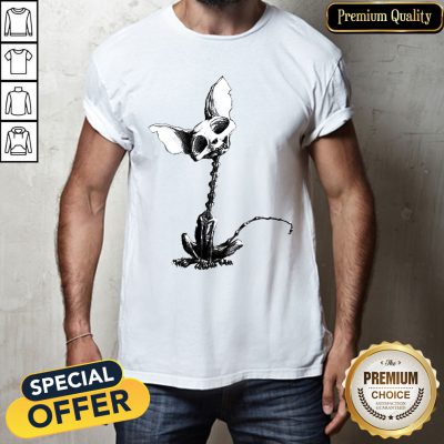 Cat Skeleton Muertos Day Of The Dead Halloween Shirt