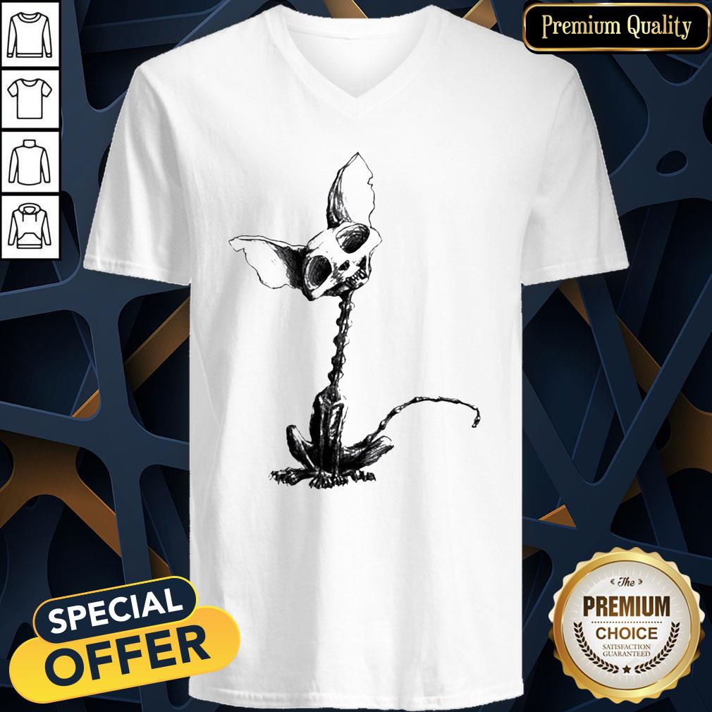 Cat Skeleton Muertos Day Of The Dead Halloween V-neck