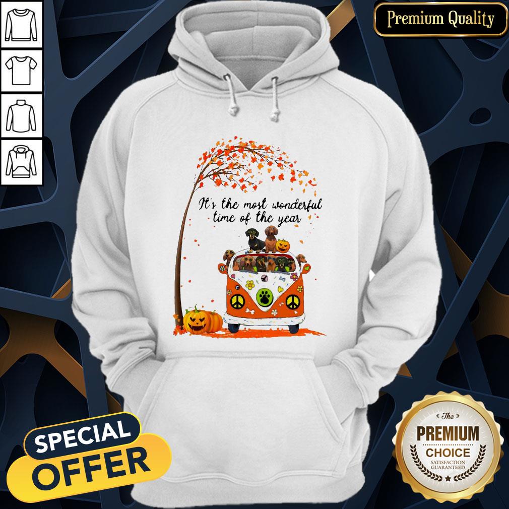 Dachshund It's The Most Wonderful Time Of The Year Halloween Hoodie