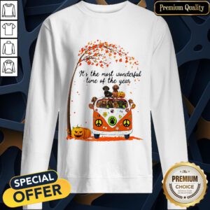 Dachshund It's The Most Wonderful Time Of The Year Halloween SweatShirt