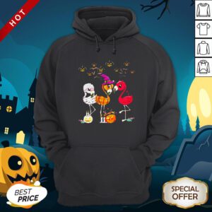 Perfect Flamingo Witch Halloween Hoodie