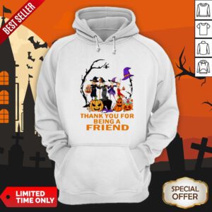 The Golden Girls Thank You For Being A Friend Halloween Hoodie
