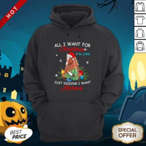 All I Want For Christmas Is You Just Kidding I Want Horses Hoodie