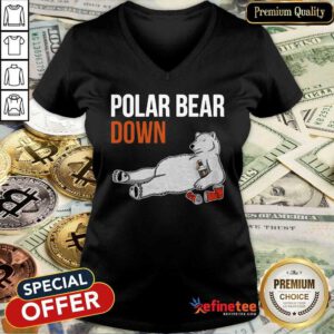 Attractive Polar Bear Down 2021 V-neck