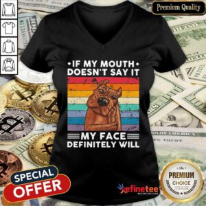 Hot If My Mouth Doesnt Say It My Face Definitely Will Pitt Bull Vintage V-neck